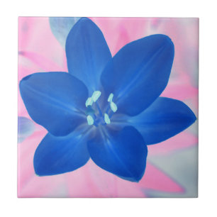 Neon Blue Lily Flower Pink Achtergrond Tegeltje