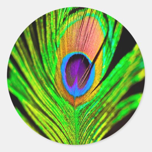 Neon Colors Peacock Feather Ronde Sticker (Voorkant)