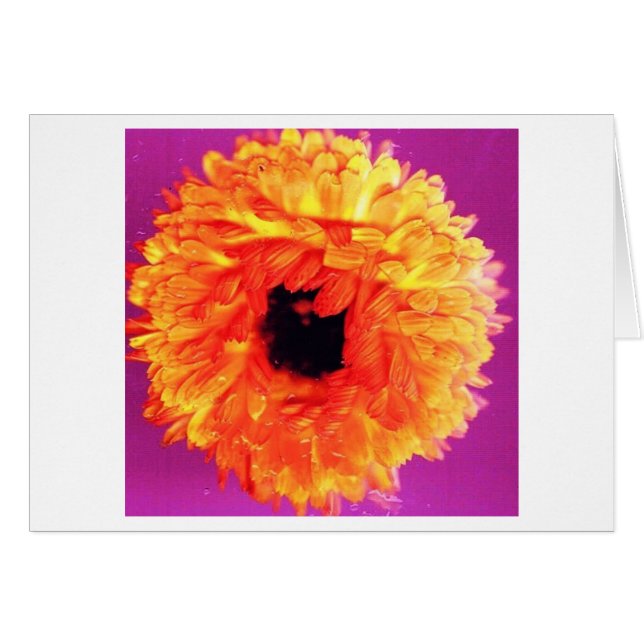 NEON FIORI (Voorkant Horizontaal)