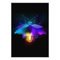 Neon Firefly op zwart