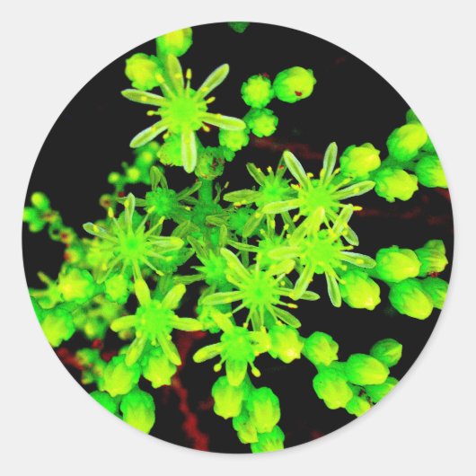 Neon Flower Ronde Sticker (Voorkant)