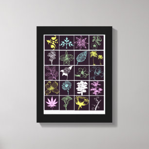 Neon Flowers en Planten silhouette Natuur Canvas Afdruk