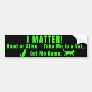 Neon Groen "Ik Ben Belangrijk" Bumpersticker