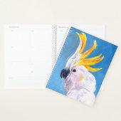 Neon Mohawk - Cockatoo (Devant avec enveloppe)