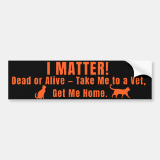 Neon Orange "I Matter" Bumper Sticker