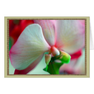 Neon Orchid