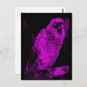 Neon Parrot Briefkaart (Voorkant / Achterkant)