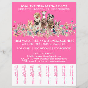 Neon Roze Honden Uitlaat Service Flyer