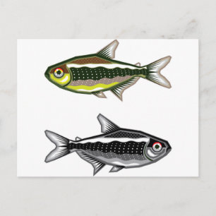 Neon Tetra aquarium vis Briefkaart