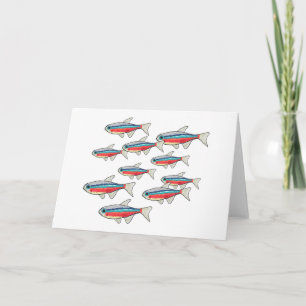 Neon Tetra Kaart