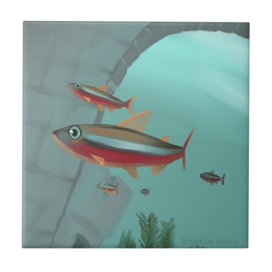 Neon Tetra Tegeltje (Voorkant)