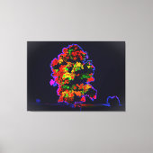 Neon tree explosie canvas afdruk (Voorkant)