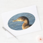 Neotropisch aalscholver ovale sticker (Envelop)
