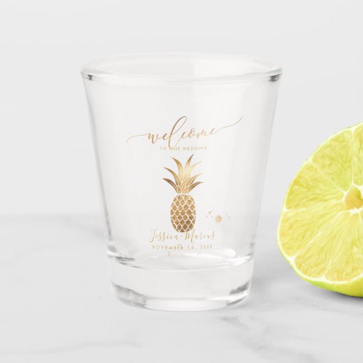 Nep Ananas Welkom Shot Glas (Voorkant)