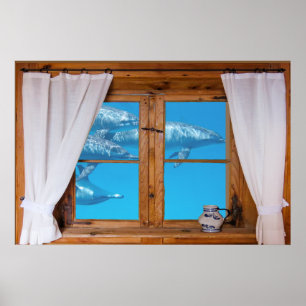 Nep raam uitzicht onderwater dolfijnen oceaan plez poster