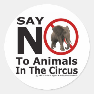 NEPA Animal Adoption Network - zeg nee tegen het c Ronde Sticker