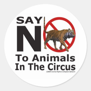 NEPA Animal Adoption Network zegt nee tegen het ci Ronde Sticker