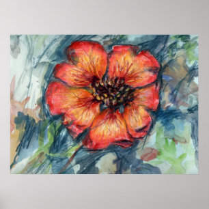 Nepal Cinquefoil Flower Poster