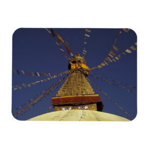 Nepal, Kathmandu. Onder gebedsvaandels, waakzaam Magneet