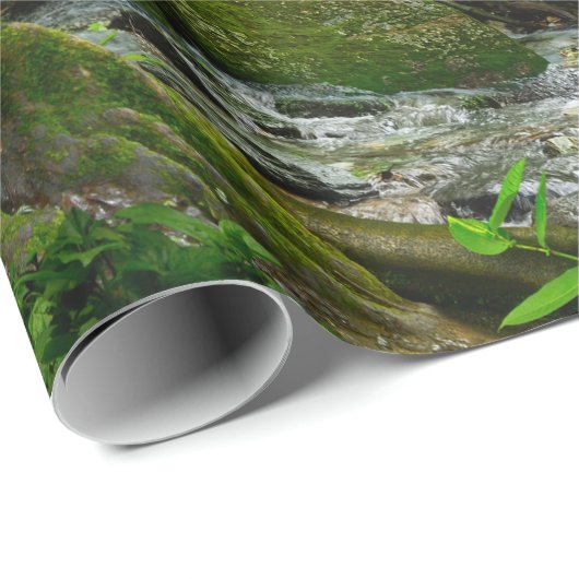 Nepal oerwoud met riverjungle, bos, grond, rivier, cadeaupapier (Rol Hoek)