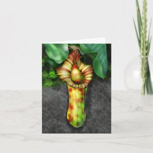 Nepenthes, illustratie Plant Pitcher Notitiekaartje