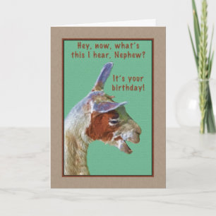 Nephew, Verjaardag, Lachende Llama Kaart
