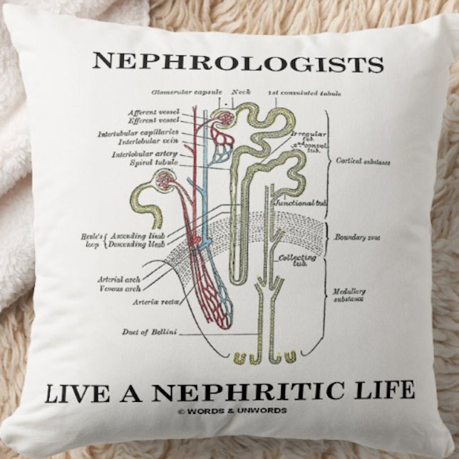 Nephrologen leven een nefritisch leven (Nephron) Kussen (Throw pillow featuring a kidney's nephron and cheeky medical saying for any nephrologist)