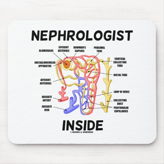 Nephroloog Inside Kidney Nephron Muismat (Voorkant)
