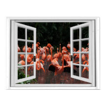 Neppe raam uitzicht Roze Flamingo's