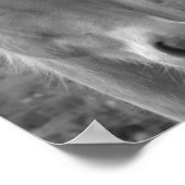 Neptune Poster (Hoek)