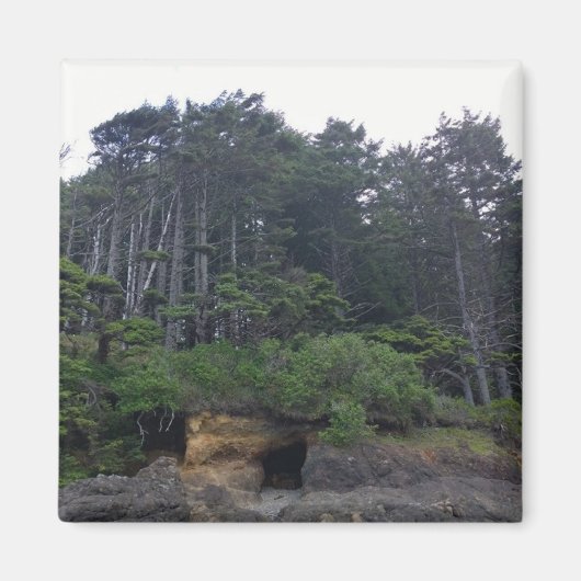 Neptune State Park, OF Magneet (Voorkant)