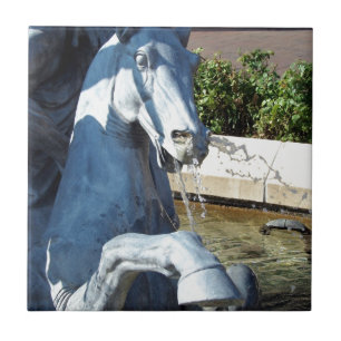 Neptunes paard, Plaza Fountain Detail Tegeltje