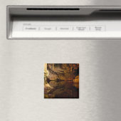 Neptunus Grotto, Sardijnse magneet (Insitu (Vaatwasser))