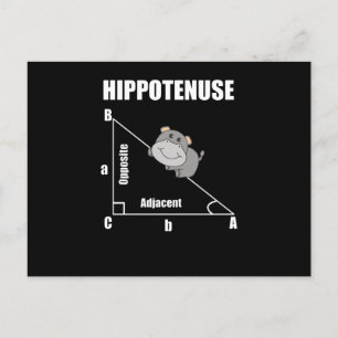 Nerd Geometrie Hippotenuse Hypotenuse Wiskunde Briefkaart