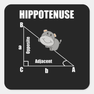 Nerd Geometrie Hippotenuse Hypotenuse Wiskunde Vierkante Sticker