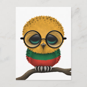 Nerdy Litouws Baby Owl Chic Briefkaart