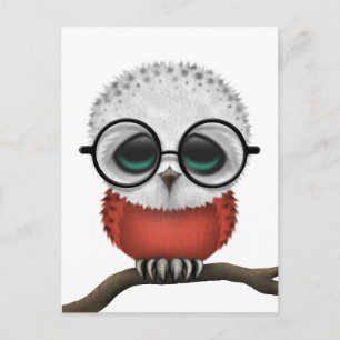 Nerdy Poolse Baby Owl Chic Briefkaart