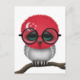 Nerdy Singapore Baby Owl Chic Briefkaart