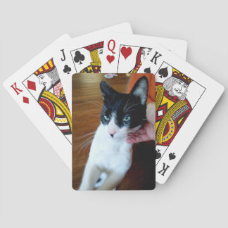 Nero the cat speelkaarten