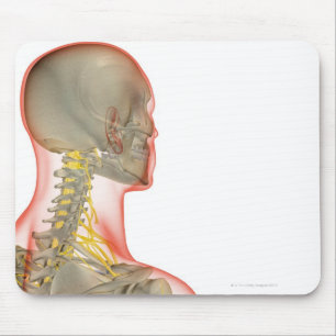 Nerves van de nek 2 muismat