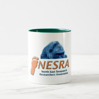 NESRA Two-Tone Ceramic Coffee Mok - White/Green