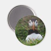 Nest Builder Puffin Magneet (Voorkant / Achterkant)