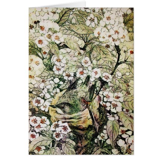 NEST D'OISEAU, ARBRE AVEC FLEURS BROWN DE PRINTEMP (Devant)