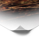 Nest Feeding Time of Tree Swallow Poster (Hoek)