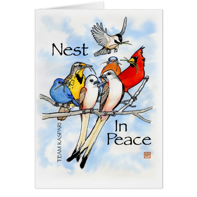 Nest in de vrede:  Team Kaspari (Voorkant)