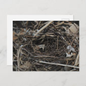 nesten briefkaart (Voorkant / Achterkant)