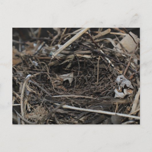 nesten briefkaart (Voorkant)