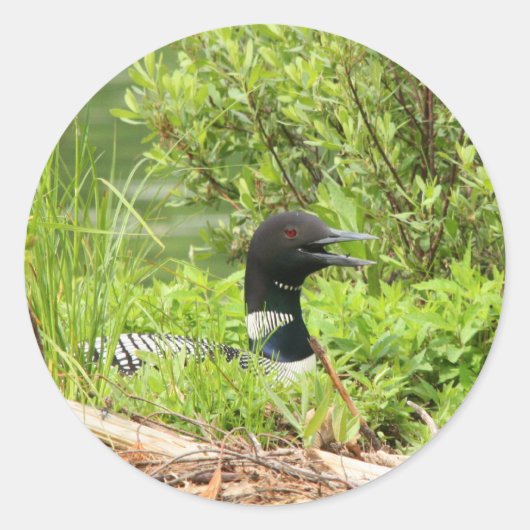 Nesten Loon Stickers (Voorkant)