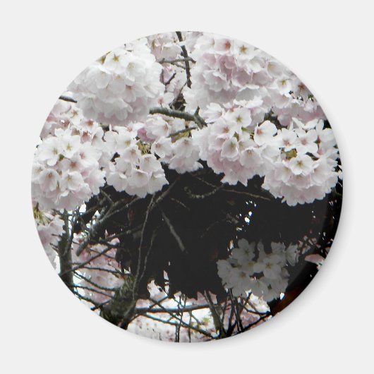 nesten magneet (Voorkant)