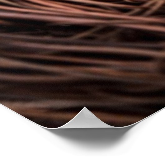 Nesten met hart poster (Hoek)